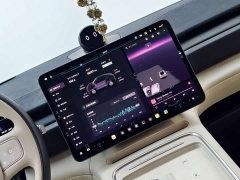 NIO EC6 75kWh - ფოტო 15