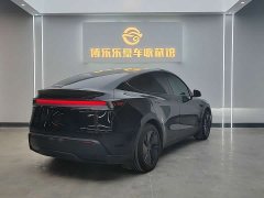 Tesla Model Y Rear-Wheel Drive - ფოტო 6