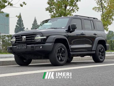 2022 Tank 300 2021 Off-Road Edition 2.0T Conqueror - ავტომობილი ჩინეთიდან