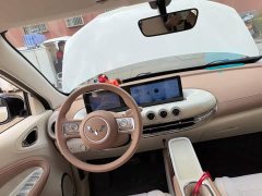 Wuling Binguo 333km Joy Edition - ფოტო 6