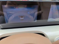 Wuling Binguo 333km Joy Edition - ფოტო 8