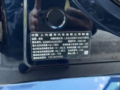 Buick GL8 New Energy Lusang Respect Edition - ფოტო 20