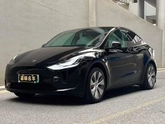 Tesla Model Y Rear-Wheel Drive - ფოტო 1