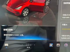 Tesla Model Y Rear-Wheel Drive - ფოტო 14