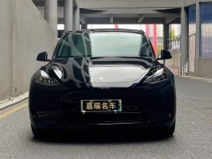 Tesla Model Y Rear-Wheel Drive - ფოტო 2