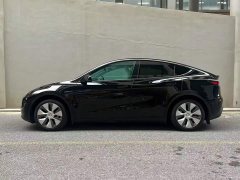 Tesla Model Y Rear-Wheel Drive - ფოტო 3
