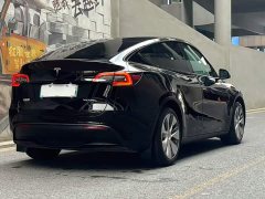 Tesla Model Y Rear-Wheel Drive - ფოტო 5