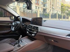 BMW 5 Series 530Li Premier Luxury Package - ფოტო 9