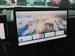 Haval Manlong Gasoline 2.0T 4WD Ultra - ფოტო 13