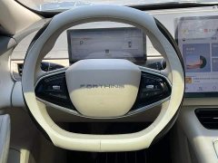 Dongfeng Xinghai S7 235 Extended Range Deluxe Edition - ფოტო 15