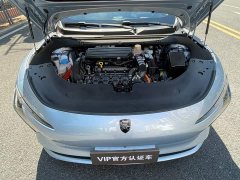 Dongfeng Xinghai S7 235 Extended Range Deluxe Edition - ფოტო 18