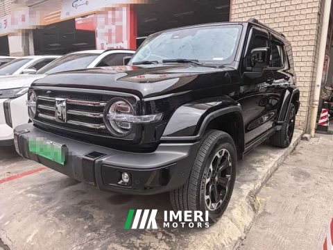 2024 Tank 300 New Energy 2025 Hi4-T 37.1kWh - ავტომობილი ჩინეთიდან