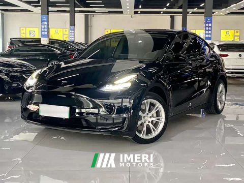 2021 Tesla Model Y Standard Range RWD - ავტომობილი ჩინეთიდან