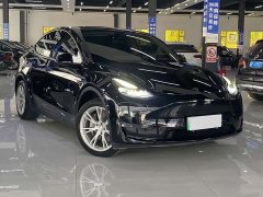 Tesla Model Y Standard Range RWD - ფოტო 3
