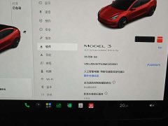 Tesla Model 3 Facelift Standard Range RWD Upgrade 3D1 - ფოტო 9