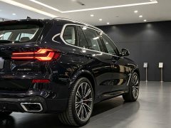 BMW X5 xDrive 30Li M Sport Luxury Night Edition Package - ფოტო 8