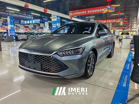 2023 BYD Qin PLUS Champion Edition DM-i 55KM Leading - ავტომობილი ჩინეთიდან