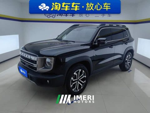 2025 Great Wall Dachshund 2024 1.5T DCT Border Collie Edition - ავტომობილი ჩინეთიდან