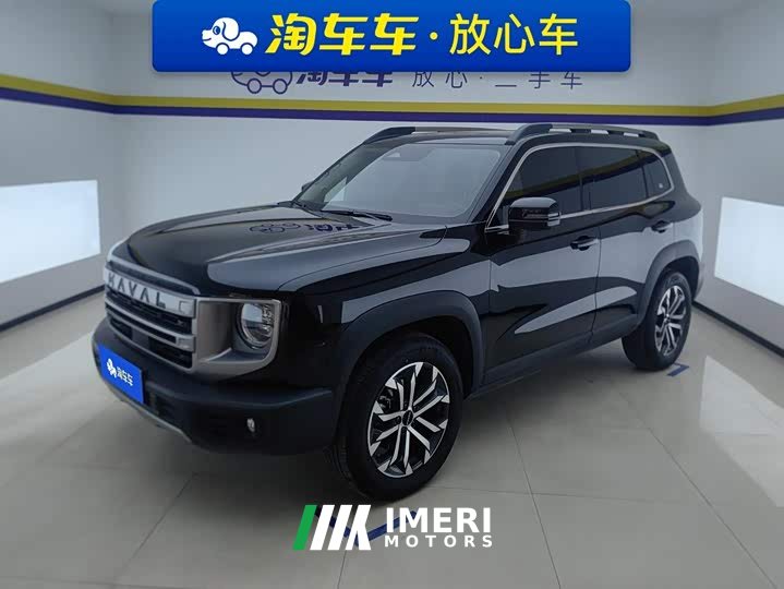 Great Wall Dachshund 1.5T DCT Border Collie Edition