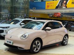 ORA Good Cat 400km Standard Range Muse Edition LFP Battery - ფოტო 1