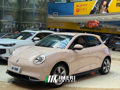2021 ORA Good Cat 400km Standard Range Muse Edition LFP Battery - ავტომობილი ჩინეთიდან