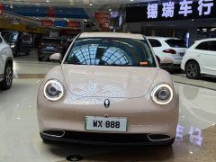 ORA Good Cat 400km Standard Range Muse Edition LFP Battery - ფოტო 2