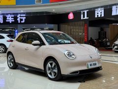 ORA Good Cat 400km Standard Range Muse Edition LFP Battery - ფოტო 9