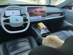Dongfeng eπ007 Pure Electric 530 Ruoyi Edition - ფოტო 12