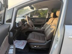 Wuling Starlight 730 New Energy 2025 PHEV 125km Luxury - ფოტო 8