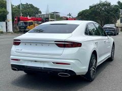 Geely Xingrui 2.0T Diesel Premium Edition - ფოტო 9