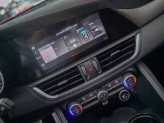 Alfa Romeo Giulia 2021 GTAm - ფოტო 13