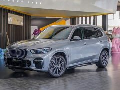 BMW X5 xDrive 30Li Luxury M Sport Package - ფოტო 1