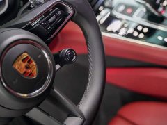 Porsche Panamera 2.9T - ფოტო 11
