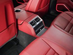 Porsche Panamera 2.9T - ფოტო 15