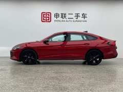 Volkswagen Lingdu 2026 Lingdu L GTS 380TSI Lingfeng Million Anniversary Edition - ფოტო 3