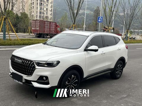 2024 Haval H6 2023 National Trend Edition 1.5T Automatic Urban Version - ავტომობილი ჩინეთიდან
