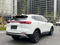 Haval H6 2023 National Trend Edition 1.5T Automatic Urban Version - ფოტო 10
