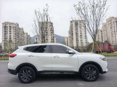Haval H6 2023 National Trend Edition 1.5T Automatic Urban Version - ფოტო 13