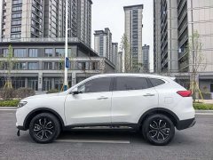 Haval H6 2023 National Trend Edition 1.5T Automatic Urban Version - ფოტო 14