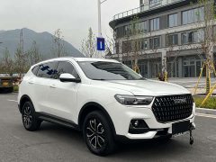Haval H6 2023 National Trend Edition 1.5T Automatic Urban Version - ფოტო 4