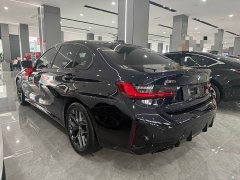 BMW 3 Series 330Li M Sport Night Edition Package - ფოტო 10