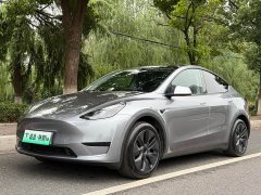 Tesla Model Y Rear-Wheel Drive - ფოტო 1