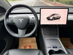 Tesla Model Y Rear-Wheel Drive - ფოტო 13