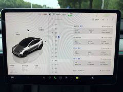 Tesla Model Y Rear-Wheel Drive - ფოტო 15