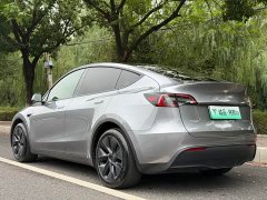 Tesla Model Y Rear-Wheel Drive - ფოტო 3