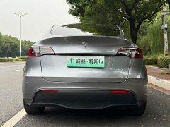 Tesla Model Y Rear-Wheel Drive - ფოტო 4