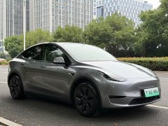Tesla Model Y Rear-Wheel Drive - ფოტო 6