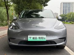 Tesla Model Y Rear-Wheel Drive - ფოტო 7