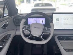 BYD Haima S06 DM-i 205 Navigator Pro - ფოტო 9