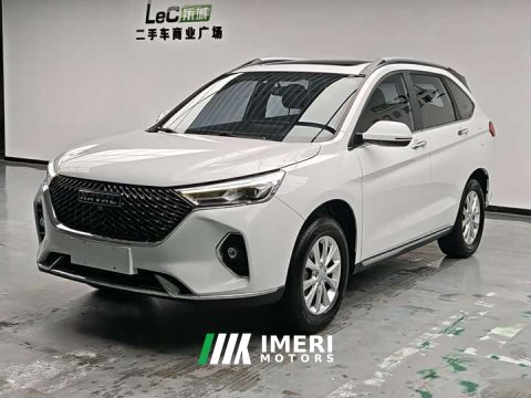 2021 Haval M6 PLUS 1.5T DCT Luxury Smart Connected Edition - ავტომობილი ჩინეთიდან